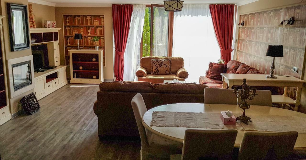 Silver Mountain 3 Bedroom Apartment 波亚纳布拉索夫 外观 照片