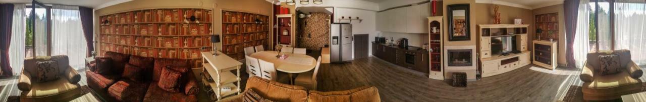 Silver Mountain 3 Bedroom Apartment 波亚纳布拉索夫 外观 照片